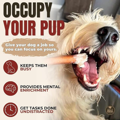Bully Bunches Premium (6" Standard - 20 Pack) Odor-Free Bully Sticks for Small to Medium Dogs & Puppies - Consistently Sized, Long Lasting Chews for Oral Care - All Natural, 100% Beef Dog Treats