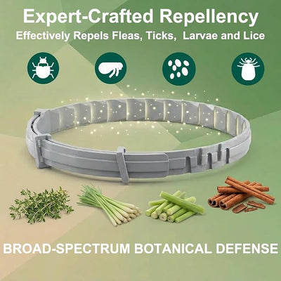 Craveit Dog Flea Collar, 2 Pack Flea Collar for Dogs Small, Gentle Plant-Based Tick Repellent for Small Dog, Waterproof & Adjustable, 8-Month Long-Lasting Defense