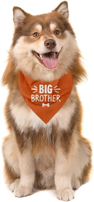 Big Brother Dog Bandana, Orange Pet Dog Scarf Accessories, Pregnancy Announcement Big Brother Baby Reveal, Pet Dogs Triangle Scarf, Dogs Bandana for Small Medium