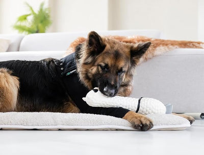 Suitical Recovery Sleeve for Dogs | Front Leg Protection After Surgery | Dog Leg Sleeve to Stop Licking | Machine Washable | Chest Circumference 31.5”- 40.9” | Sleeve Length 16.1” | XL | Single Sleeve
