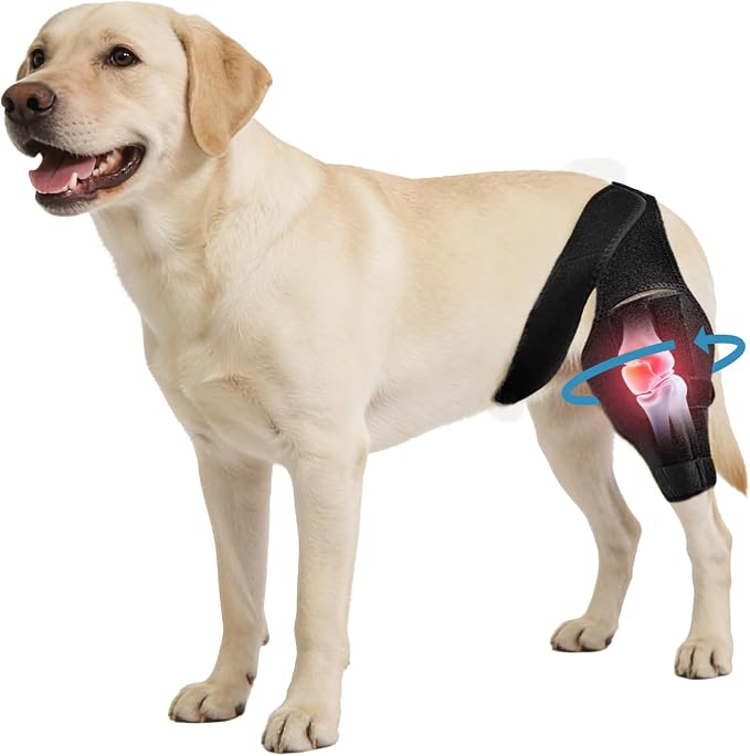 Dog Knee Brace for Torn ACL/CCL & Hind Leg Support - Adjustable Brace for Arthritis Relief, Joint Stability & Injury Recovery - Fits Small & Medium Dogs (XS)