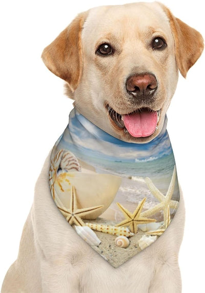 Sea Shells Star Fish Ocean Beach Tide Pool Dog Bandana Scarf Triangle Bibs Pet Accessories Cat Kerchief