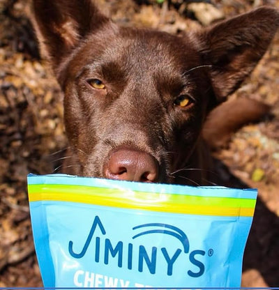 Jiminy's Chewy Training Treats for Dogs, Low Calorie, Hypoallergenic Insect Protein, Made in USA, 6oz, Peanut Butter & Cranberry (Pack of 3)