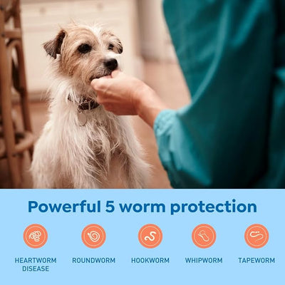 Interceptor Plus Prevention for Heartworm + 4 Other Worms for Dogs 8.1-25 lbs. | 6 Chews, 6-Month Supply