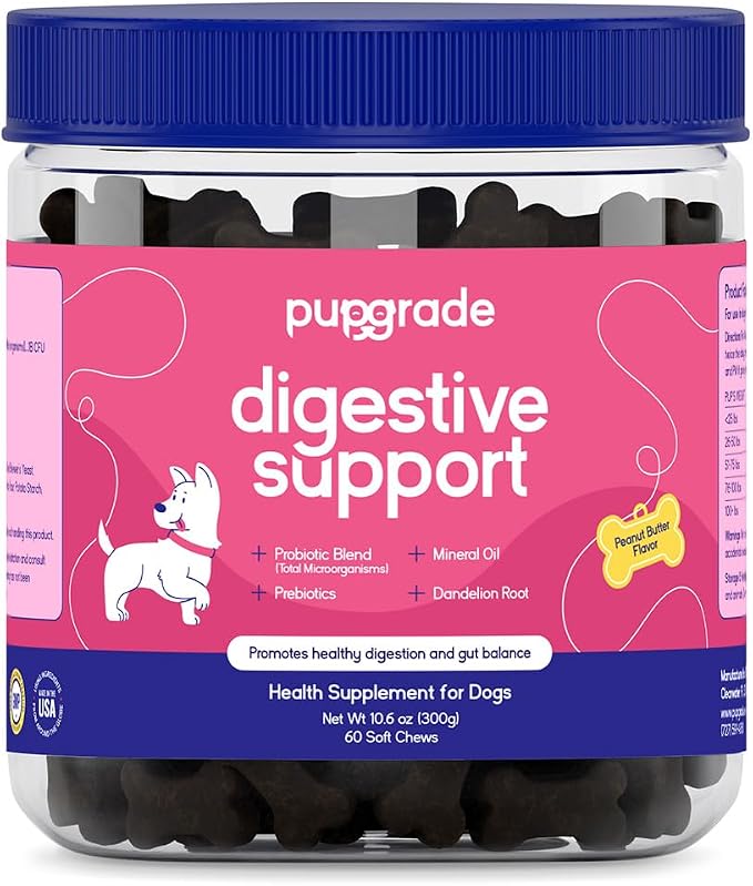 PupGrade Digestive Support for Dogs - Prebiotic + Probiotic Supplement with Enzyme Blend - Gut and Immune Support - Pumpkin, Blueberry, Mineral Oil, Peanut Butter Flavor - 60 Soft Chews