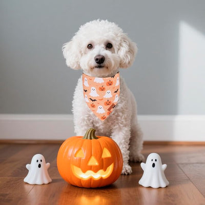 PTDECOR Halloween Dog Bandana, Pumpkin Ghost Design Reversible Holiday Pet Scarf, Black Yellow Halloween Bandanas for Small Dogs Puppies Cats(Small)