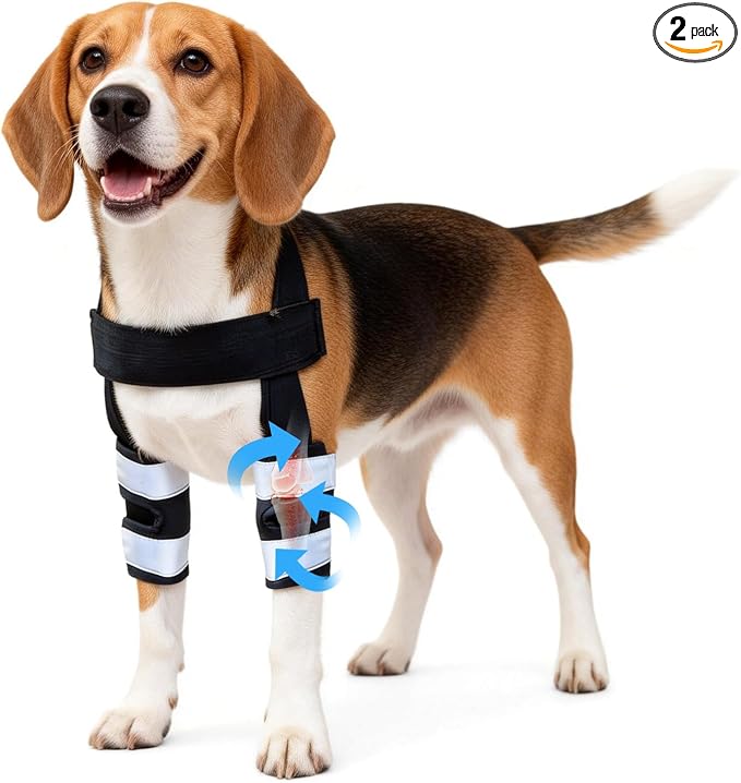 Petanims Dog Front Leg Brace - Knee/Carpal/Wrist Support for Dogs, Adjustable Dog Elbow Brace with Shoulder Support, Reflective Dog Elbow Protector for Pain Relief & Better Recovery, Medium
