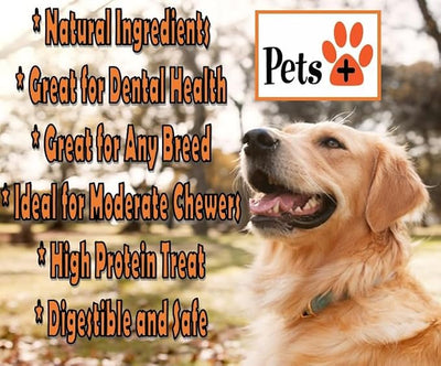 Pets Plus Premium Dog Treats – Beef Jerky Springs, 3 Pack | All-Natural, High-Protein Chews for Dogs, Long-Lasting Treats for Training, Rewards & Dental Health