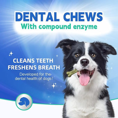 Dr.vet Dog Dental Chews, Dog Dental Sticks for Plaque and Tartar Remover for Dogs, Dog Breath Freshener and Teeth Cleaning Treats, Rawhide Free Dog Chews for Small Breed Dog Treats, 100g (7 Sticks)