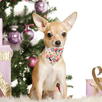 Unique Style Paws Dog Bandanas 1PC Washable Cotton Triangle Dog Scarfs Spring Summer with Colorful Flower for Small Medium Large Dogs and Cats