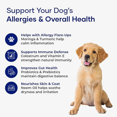 Allergy & Immune Support Chews for Dogs Astragalus Root & Flaxseed C3 | Promotes Seasonal Allergy Relief, Gut & Digestive Health | Probiotics, Colostrum & Krill Oil | Soft Chews