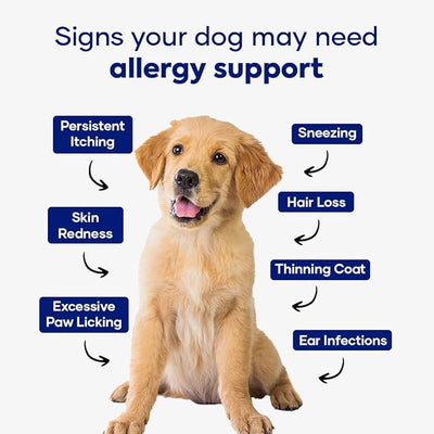 ImmunoFlo Dog Allergy Relief Chews – Immune Support & Anti Itch for Dogs | Astragalus, Moringa, Neem, Probiotics | Dog Yeast Infection & Seasonal Allergy Supplement | Soft Chews for All Breeds