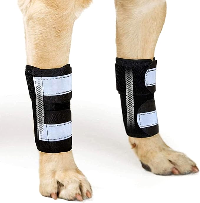 NeoAlly- Front Leg Brace for Dogs & Cats, Dog Leg Brace with Metal Spring Inserts, Dog Leg Sleeve for Carpal Support, Dog Leg Sleeve with Reflective Straps, XXS/XS, Pair
