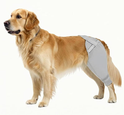 Dog Rear Leg Sleeve to Stop Licking, Upgraded Hind Leg Cover to Stop Slipping, for TPLO Surgery, Skin Conditions, Wounds, Breathable Soft Fabric, Dog Cone Alternative, Right, M, Grey