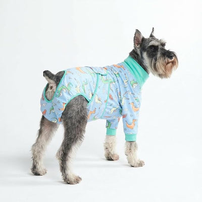 Spark Paws Dog Surgery Recovery Suit – Dog Recovery Suit After Surgery, Anti-Lick Dog Onesie, Abdominal Wound Protector, Soft Cone Alternative for Spay Neuter Male Female Pet Recovery - Dragons - M