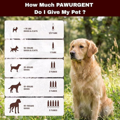 PawUrgent Activated Charcoal Gel for Dogs Poisoning,(2 Pack) 30cc Dog First Aid Activated Charcoal, Animal Use Only, Premium Pet Support for Pet Owners (2 Pack)