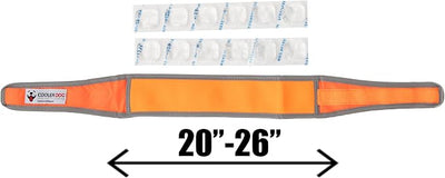 CoolerDog Hi-Vis Cooling Dog Collar for Large Dogs – Reflective Re-Freezable Ice Collar for Hot Weather & Heat Relief (Orange, Large)