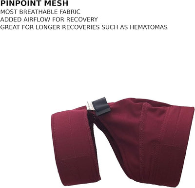 No Flap Ear Wrap (Red Pinpoint Mesh, Small)