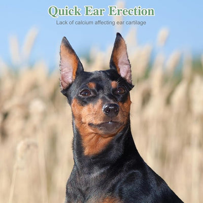 Milisten Dog Ear Stand Up Support Kit: Adjustable Dog Ear Posting Tool for Doberman, German Shepherd - Includes Stand Tool 2 Posts & Non-Marking Tape