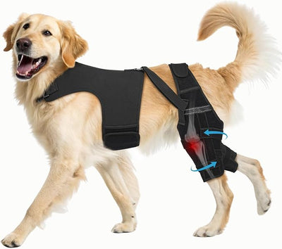 Dog Knee Brace for Torn ACL Hind Leg– Dog Leg Brace with Metal Stabilizers for Dogs with Torn ACL, Luxating Patella, Ligament Injuries & Hip Dysplasia, Limping or Osteoarthritis Recovery, L