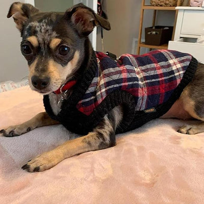 Gooby Fashion Vest Check Dog Jacket - White Check, Large - Warm Zip Up Bomber Vest with Dual D Ring Leash - Winter Water Resistant Small Dog Sweater