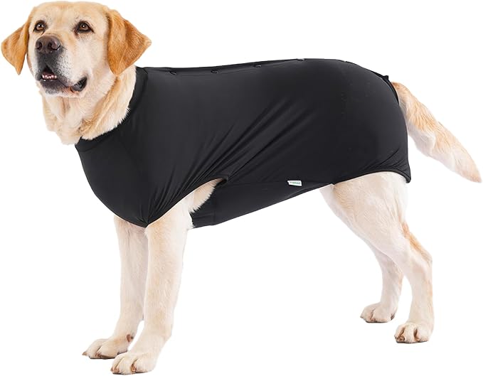 LovinPet Dog Recovery Suit, Snap-Back Post-Op Onesie for Large Dogs, Post-Spay Bodysuit for Female Dogs with Cushioned Belly Panel, Black, L