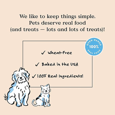 Bocce's Bakery Dailies Good Hair Dog Treats for Skin & Coat Support, Wheat-Free Dog Treats, Made with Real Ingredients, Baked in The USA, Natural Soft & Chewy, Salmon Recipe, 6 oz