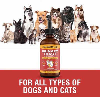 Cat & Dog Urinary Tract Infection Treatment – Natural UTI Relief with Cranberry Drops – Kidney & Bladder Support – Helps Incontinence, Frequent Urination, Bladder Stones – Pet Renal Care Drops