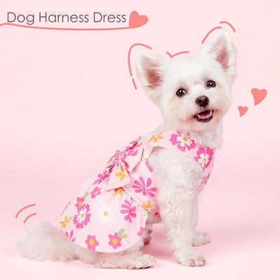 Dog Dress Harness Dresses Leash Set for Small Dogs Cute Girl Dog Clothes with Bowknot Puppy Outfits for Shih Tzu Yorkies Chihuahua