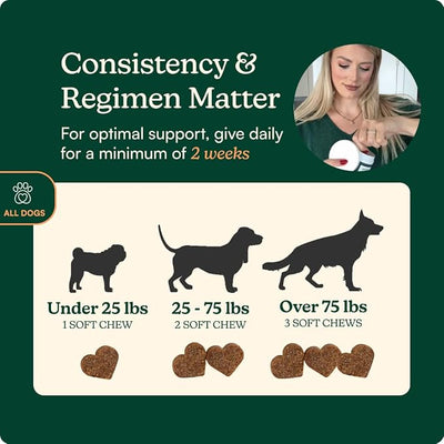 Reggie Anytime Calming Chews for Dogs | Dog Anxiety Relief with L-Theanine & Magnolia Barks | Dog Calming Treats for Separation Anxiety, Thunderstorms, Travel & Stress | 120 Soft Chews