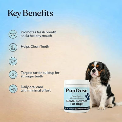 Dental Powder for Dogs, Teeth Cleaning & Fresh Breath, Tartar Control Dog Supplement, Supports Healthy Gums & Oral Care, Easy Mix Daily Dental Care for Dogs, Natural Breath Freshener (5 Pcs)