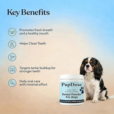 Dental Powder for Dogs, Teeth Cleaning & Fresh Breath, Tartar Control Dog Supplement, Supports Healthy Gums & Oral Care, Easy Mix Daily Dental Care for Dogs, Natural Breath Freshener (2 Pcs)