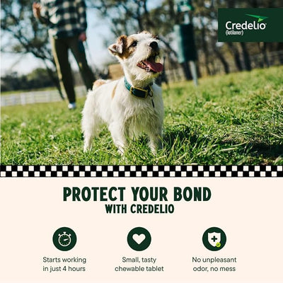 Credelio (lotilaner) Tick & Flea Treatment + Flea Infestation Protection for Dogs 6.1-12.0 lbs. (6 Tablets)