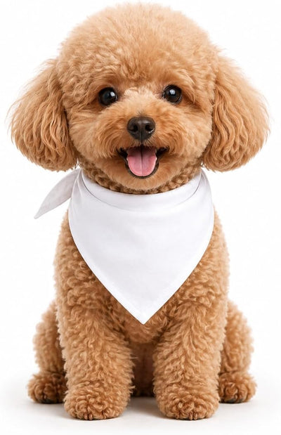 Petitebella Single Color Pet Bandana (White, Small)