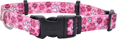 Coastal Pet SecureAway Collar Protector for Flea Collars - Adjustable pet Accessory - Protective Flea Collar for Dogs & Puppy - Multi Paws, 5/8" x 10-14"