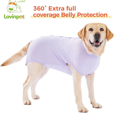 LovinPet Dog Recovery Suit, Snap-Back Post-Op Onesie for Large Dogs, Post-Spay Bodysuit for Female Dogs with Cushioned Belly Panel, Purple, L
