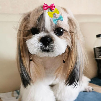 40PCS Dog Hair Bows with Clips 1.5Inch Girl Small Dog Apparel Accessories for Pet Puppy Cat Kitten Rabbit Hair Bows Clips