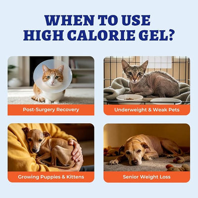 Wellix Weight Gain for Pets with Taurine for Dogs, High-Calorie Nutritional Supplement - Immune Support, Natural Dog Appetite Stimulant & High Calorie Booster for Puppies, Senior Dog & Cat, 4oz