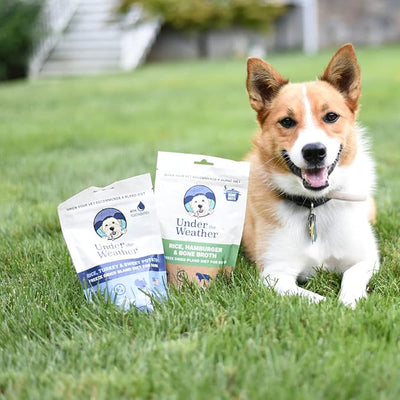 Under the Weather Bland Diet for Dogs | Easy to Digest for Sick Dogs | Always Be Ready | Contains Electrolytes - All Natural Freeze Dried 100% Human Grade Meats | 6 Pack - Multiflavor - 6oz