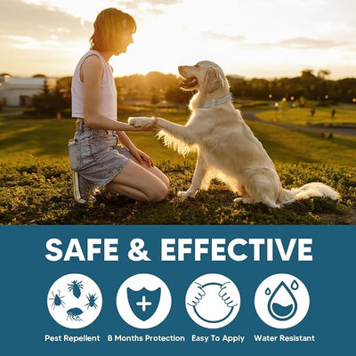 Dog Flea Collar, Flea Collars for Dogs, Natural Flea Tick Collar, 8 Months Protection, Adjustable Size, Easy to Use,2P