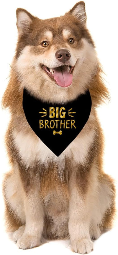 Big Brother Dog Bandana, Black Gold Pet Dog Scarf Accessories, Pregnancy Announcement Big Brother Baby Reveal, Pet Dogs Triangle Scarf, Dogs Bandana for Small Medium