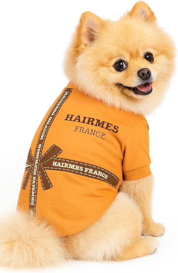 Luxury Designer Dog T Shirt – Cute Puppy Clothes for Small Dogs, Fashion Pet Tee Outfit for French Bulldogs & Chihuahuas, Everything Chic Dog Apparel