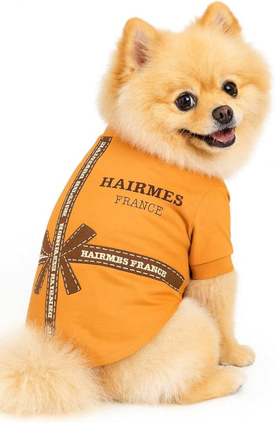 Everything Chic Luxury Designer Dog T Shirt – Cute Puppy Clothes for Small Dogs, Fashion Pet Tee Outfit for French Bulldogs & Chihuahuas, Everything Chic Dog Apparel Large Hairmes