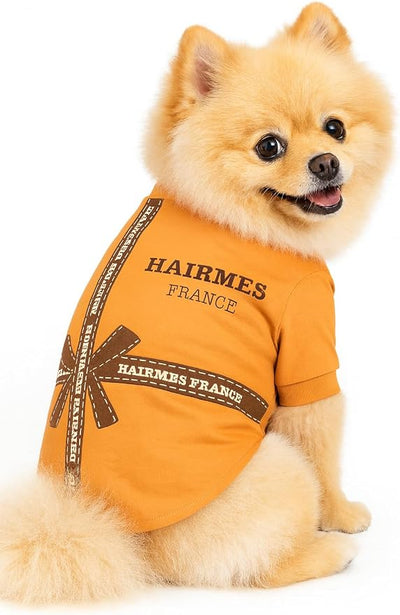 Luxury Designer Dog T Shirt – Cute Puppy Clothes for Small Dogs, Fashion Pet Tee Outfit for French Bulldogs & Chihuahuas, Everything Chic Dog Apparel