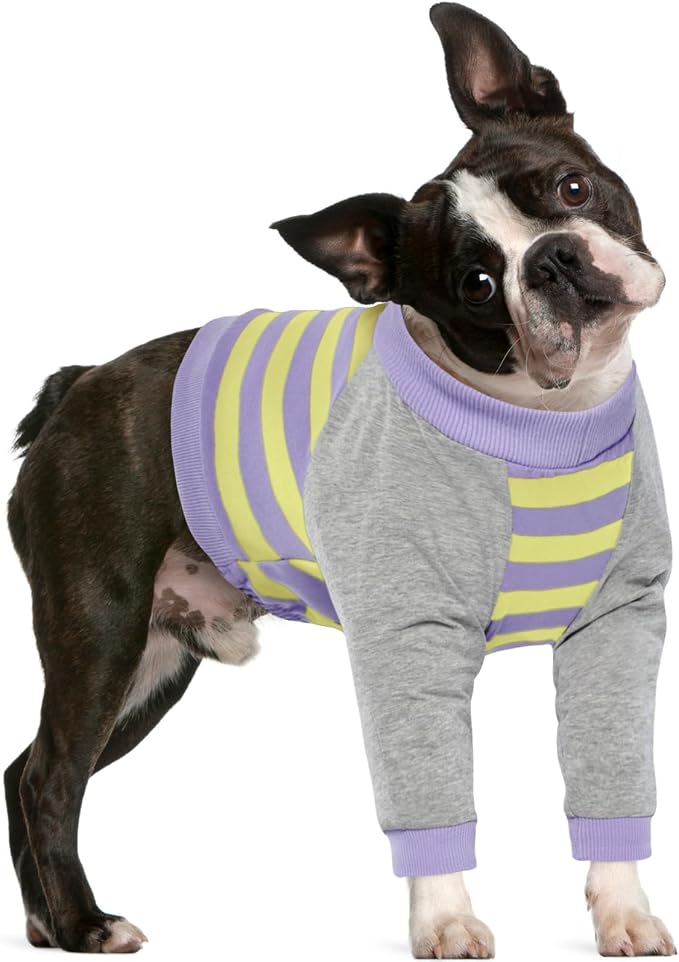FUAMEY Dog Recovery Sleeve with Elbow Protector for Small Dogs | Dog Shirt Stop Licking Joints, Long Sleeve Suit, Protecting Front Leg Arm, Wounds Cover Skin Conditions, Purple Stripes S