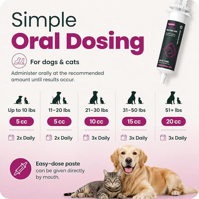 VetriScience Quick Action Diarrhea Aid Paste with Probiotics & B Vitamins, Fast Balance Digestive Support Supplement for Dogs and Cats, Gut Balancer, Unflavored, 35 cc