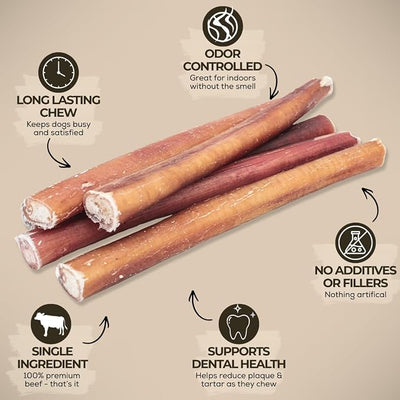 Bully Bunches Premium (6" Standard - 10 Pack) Odor-Free Bully Sticks for Small to Medium Dogs & Puppies - Consistently Sized, Long Lasting Chews for Oral Care - All Natural, 100% Beef Dog Treats