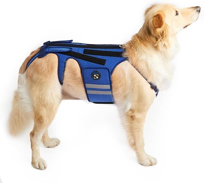 Coodeo Dog Back Brace for Dogs Arthritis, Pet Back Bracer for IVDD, Back Protector Helps Pain Relief, Surgical Recovery and Rehabilitation, Dogs Back Disease Prevention. (Blue,Small)