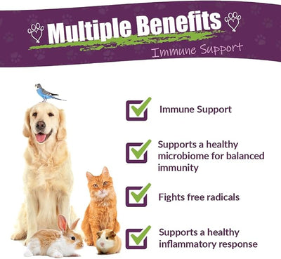 Amber NaturalZ Vibactra Immune Support Herbal Supplement for Dogs, Cats, Birds, Guinea Pigs, and Rabbits | Pet Herbal Blend for Overall Health | 4 Fluid Ounce Glass Bottle | Manufactured in the USA