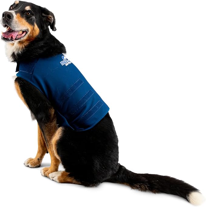 Dog Anxiety Wrap, X-Large